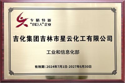 国家级“专精特新”小巨人企业